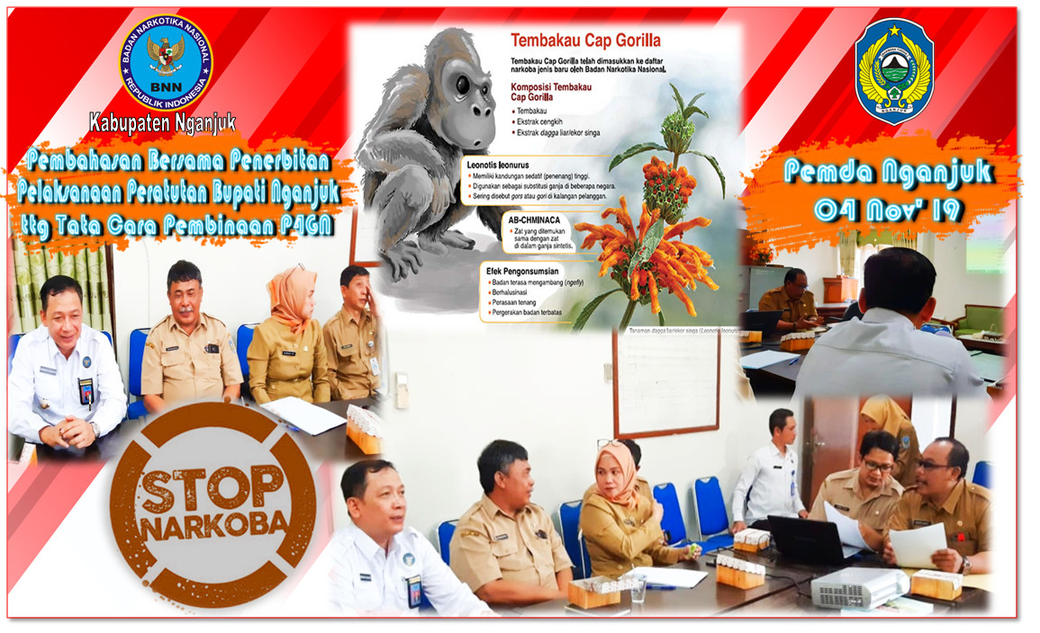 Rapat pembahasan penyusunan Perbub P4GN Rapat pembahasan penyusunan Perbub P4GN